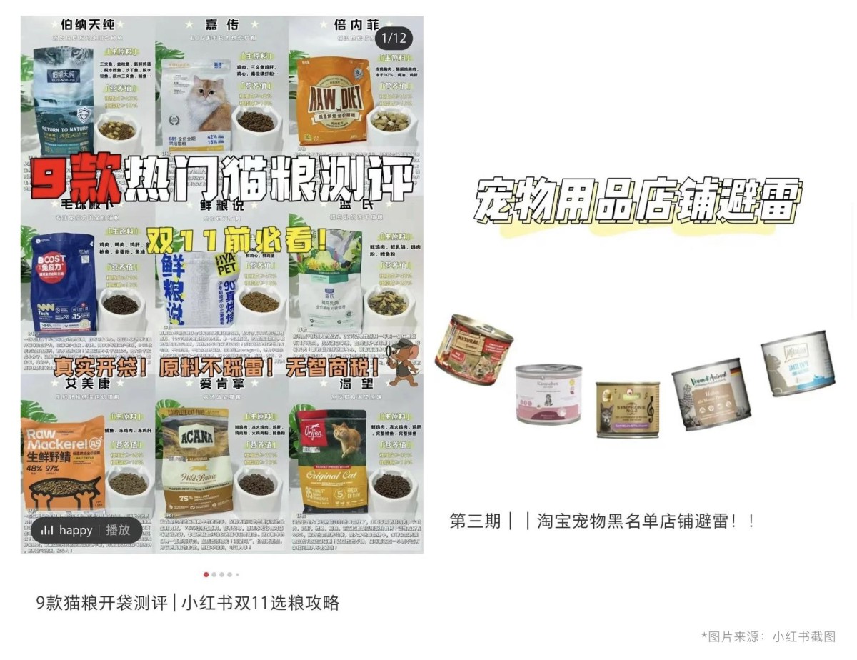 消费时代变革，宠物品牌如何借助线下活动赢得年轻养宠新势力？